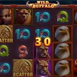 buffalo slot